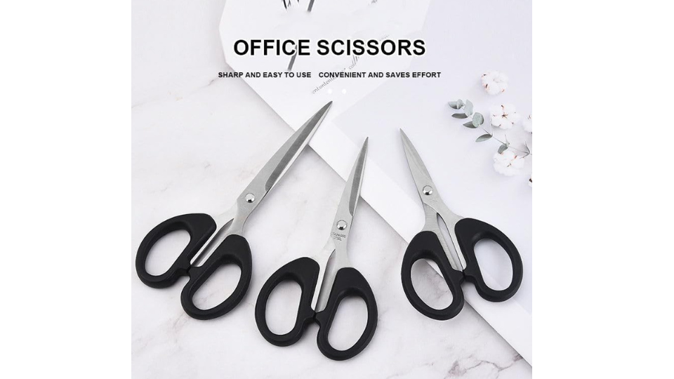 Organic Vegetable Box